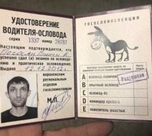 Ремень - штука прекрасная, но еще безопаснее не ездить с Адилжонами.