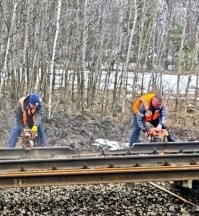 Много чего слышал, только укажи где на фото следы взрыва? И почему полотно под рельсом совершенно не повреждено? Может стоит подумать, прежде чем умничать?