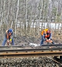 Что за бред? По фото же видно, что реально излом рельса. О причинах без экспертизы сказать сложно, но явно не диверсанты работали. Скорее всего усталость металла.
Если это были бы диверсанты, то подорвали бы, либо поставили партизанский клин. Но рельс выглядел бы по другому.