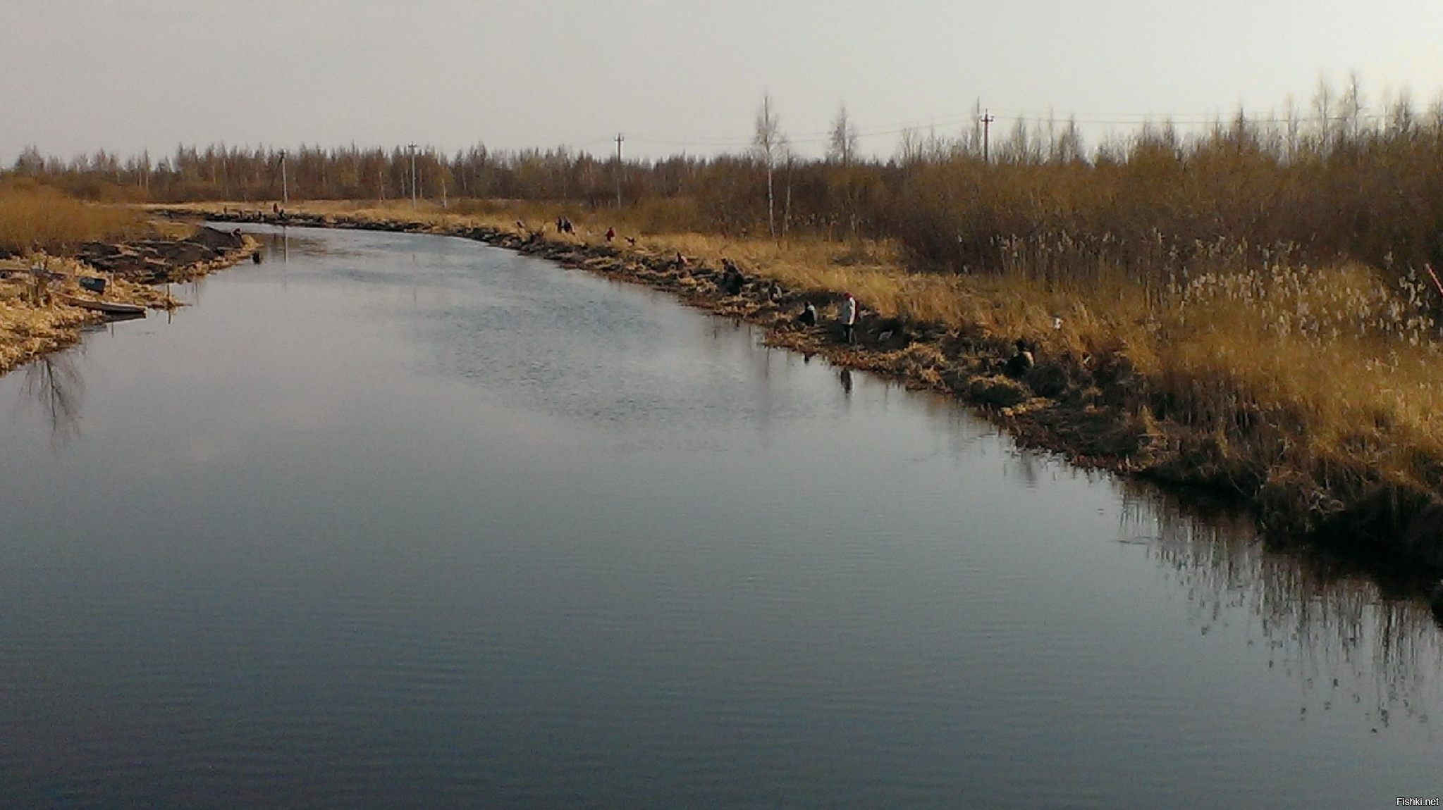 Была "На плотву" в Псковской области,интересно конечно ловить ,как беломорскую селедку)))Сто крючков, сто рыбин))
Но у меня вопрос....
А что ты с ней делаешь?
Вялишь? Сушишь? она же в другом виде-невкусная!