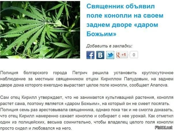 33 прикола