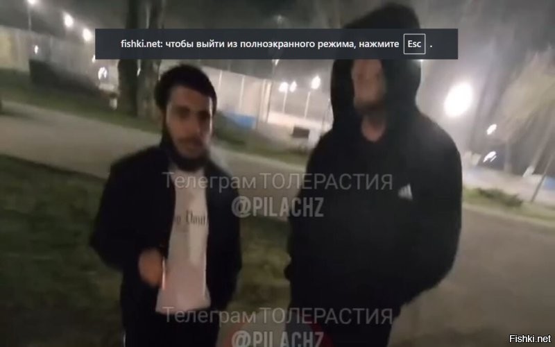 псевдочюрки гоняют наверное настоящего
делят влияние видать