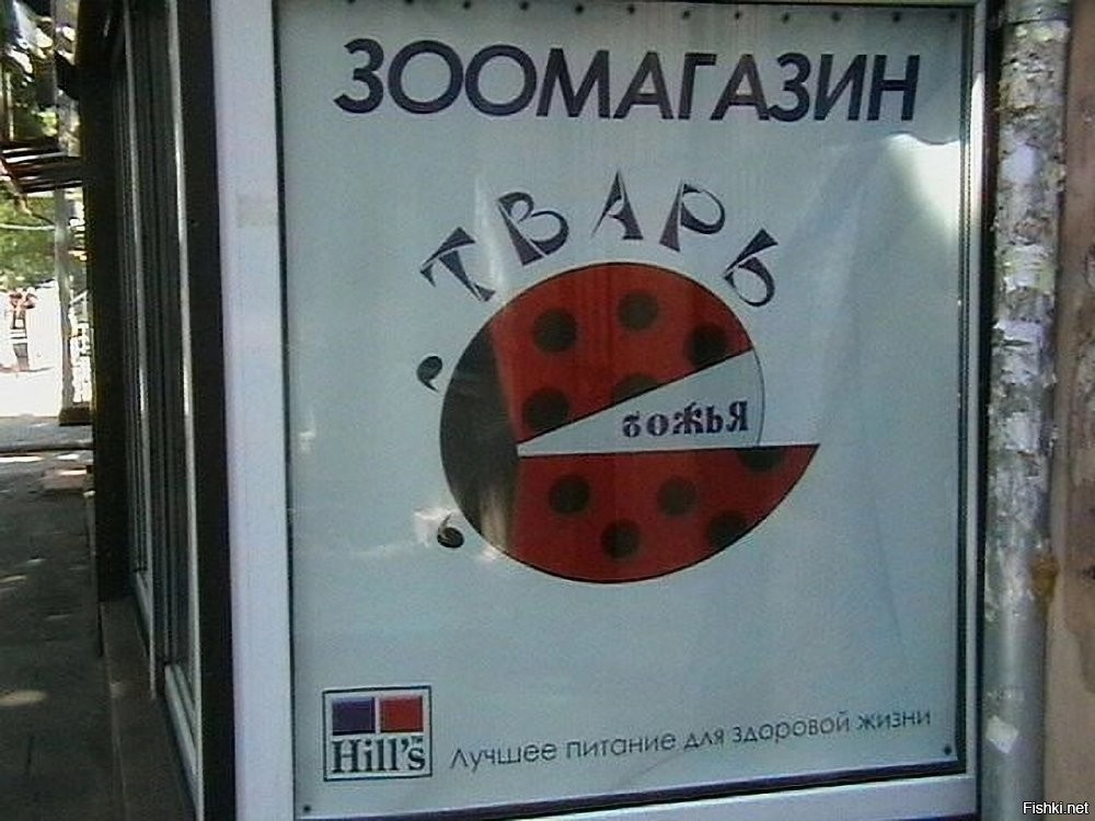Солянка от 04.04.2026