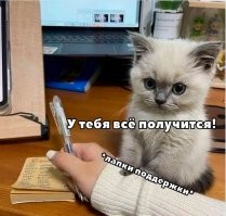 25+ пушистых мгновений радости, которые делают нашу жизнь счастливее