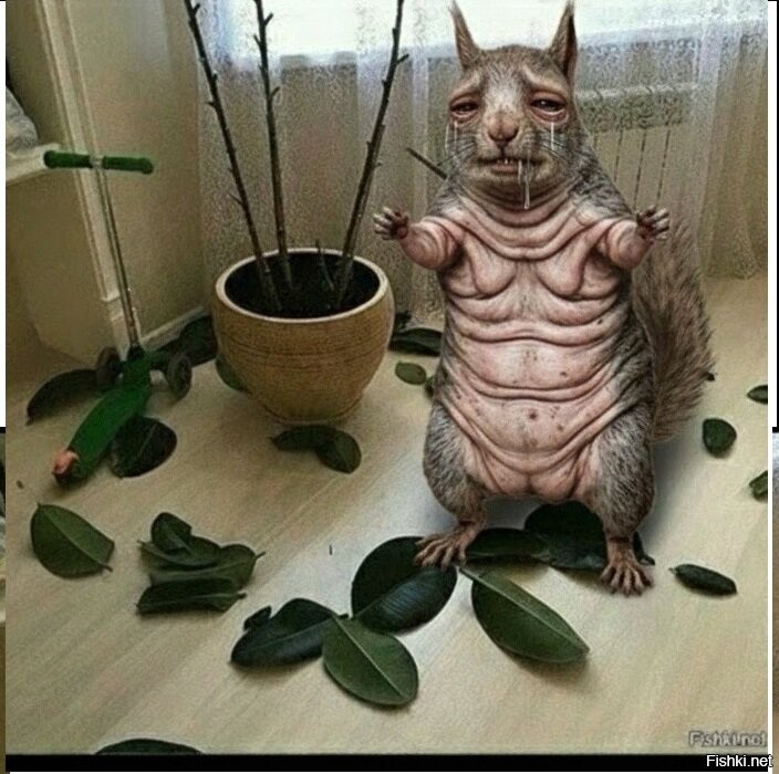 Солянка от 04.04.2026