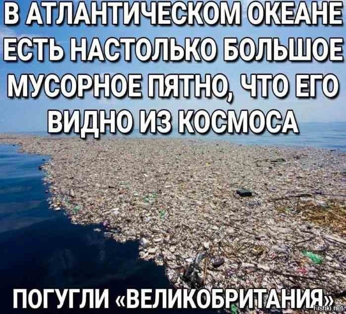 До ужина далеко,  пора перекусить