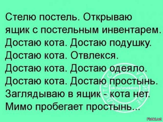 С котами не легче ))