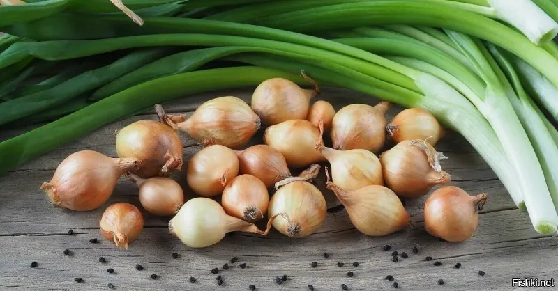 Какой из них?