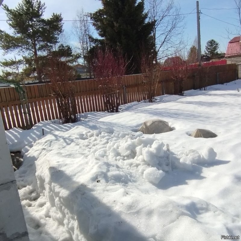 А в это время у нас... (Кировская область)