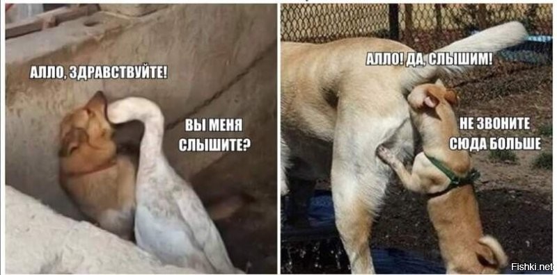 «Звёздные войны» — не фантастика, а документальный фильм о прошлом Солнечной системы