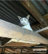 У номер 6 вообще отпад чёлочка!