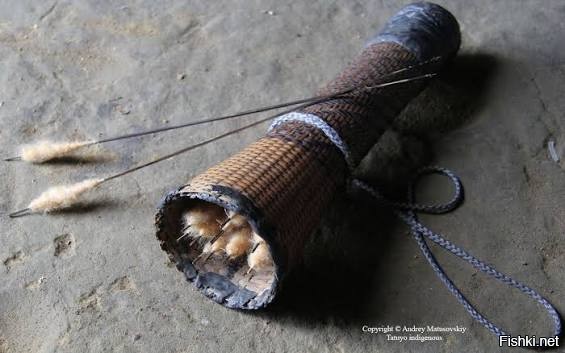 Возможно...
Духовые стрелы очень тонкие и лёгкие, таким без яда и воробья не убьешь.