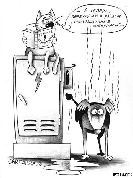 Солянка от 05.04.2026