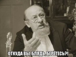 В Пекине сосед отравил собаку: виновного наказали после нескольких лет разбирательств