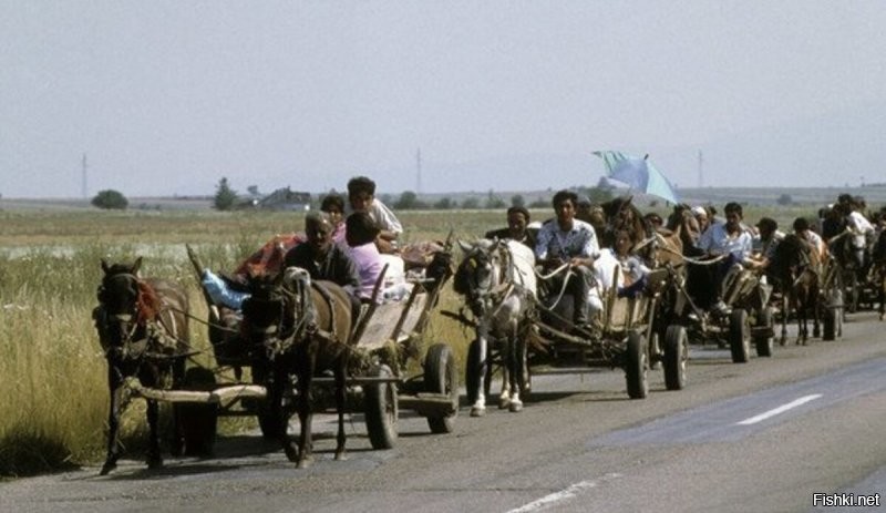 Но основная масса  цыганского стада были на подходе....