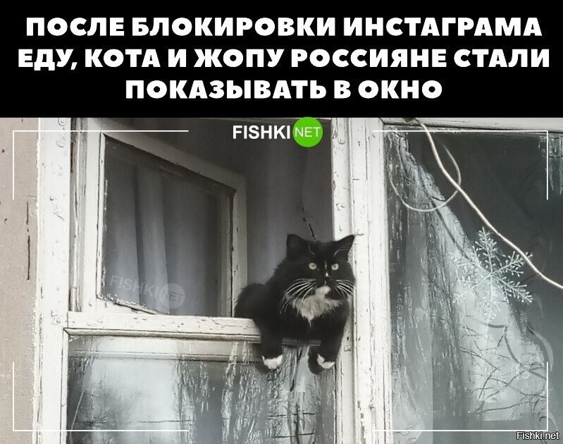 ccb837a24215fc73ae5cfe7f1b507611.jpg