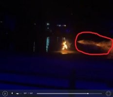 В первое мгновенье подумал, что ей ещё и вслед запустили что-то.