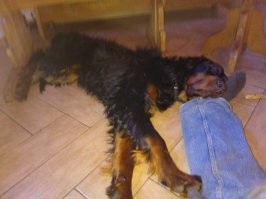 Ну как на такого можно сердиться?