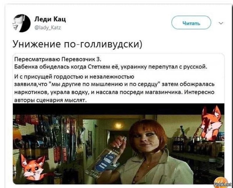 В США грумера оштрафовали на $20 тысяч за отказ  стричь «русского» кота