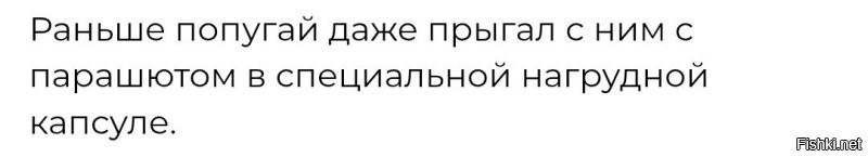 Без капсулы, попугаю было бы безопаснее.