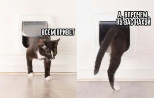 Скрины из соцсетей