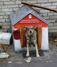 Кладовка, бытовка, резину зимнюю хранить и ёлочные украшения, собачья конура с повышенными условиями для Шарика, но никак не квартира блд.