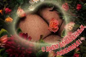Все заметили, да?
В современном обществе в основном вирусятся именно идиотские идеи.
Показывать свою любовь жопой.... Серьёзно?
Какой следующий абсурдный тренд ожидать от баб? Сдавливать свой "вареник" в виде сердца?
Типа "Чем богаты, тем и рады"? Больше нечем свою любовь показывать?
Мужики, а давайте тоже что-нибудь такое же с жопой в ответ придумаем и посмотрим их реакцию.
Ну, типа такого: