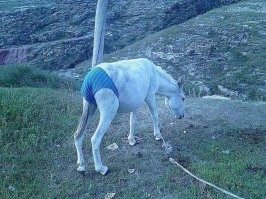 Скрины из соцсетей