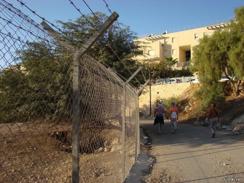 5, 6. Маале Адумим, забор вокруг (въезд через КПП). Арабские "дома" за забором.
7. Стихийная свалка внутри поселения (явно не арабы через забор притащили ).
8. Эйн-Бокек, курорт на Мёртвом море, КПП.