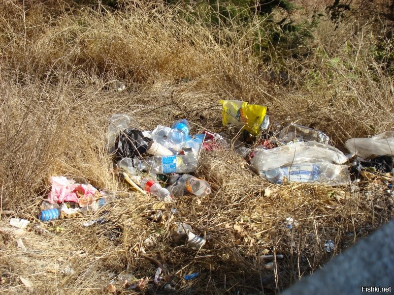 Справедливости ради: помоев на дорогах там не видел, хотя несколько раз проехал через всю страну с севера на юг и обратно, от Хермона до Эйлата. В принципе, везде довольно чисто. Но не без свинства. Даже в людных местах попадаются стихийные свалки. Тот же еврей, остановившись в парке на несколько дней с палаткой, может изрядно загадить всё вокруг. И всё же, в тех местах, где обитают арабы – намного грязнее. 
Школ за колючкой тоже не видел, но зато целые поселения за колючкой, причём именно еврейские, – очень сильно не редкость. Тоже от всяких бедуинов таким образом ограждаются.

1,2. Цфат, мемориальный парк. Палатка местного и его следы пребывания рядом.
3, 4. Арабские "дома".