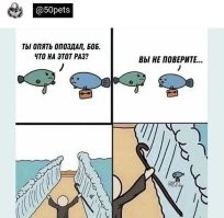Скрины из соцсетей