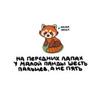 По аналогии. Нетаньяху - малый еврей