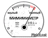 Таймлапс: строительство гнезда и взросление птенцов синицы