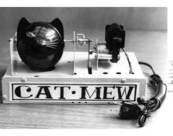 Кот-робот из «Тома и Джерри» в реальности