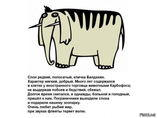 5 интересных вымерших слонов