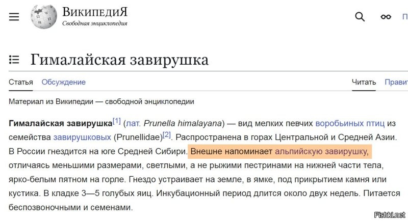 А может, если это Гималаи, то это - ГИМАЛАЙСКАЯ завирушка? Ну, по логике так. Альпийская в Альпах, гималайская в Гималаях. Тем более что они очень похожи.