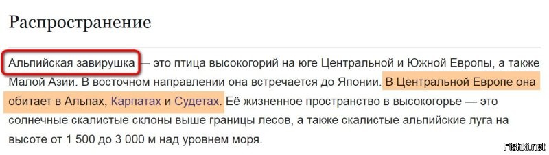 А может, если это Гималаи, то это - ГИМАЛАЙСКАЯ завирушка? Ну, по логике так. Альпийская в Альпах, гималайская в Гималаях. Тем более что они очень похожи.