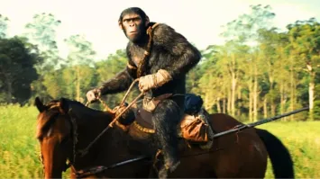 В Кисловодске осудили всадника, отхлеставшего пенсионеров плёткой