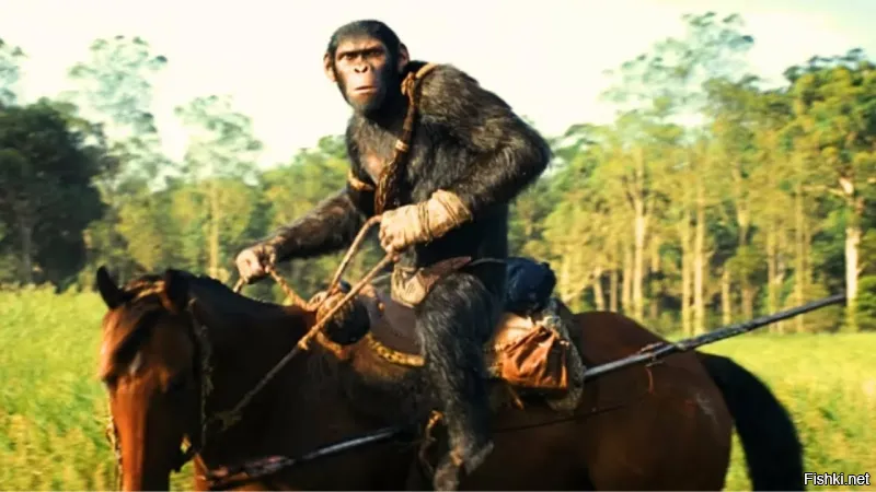 В Кисловодске осудили всадника, отхлеставшего пенсионеров плёткой