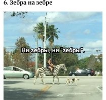 25 реальных жизненных моментов, которые невозможно выдумать