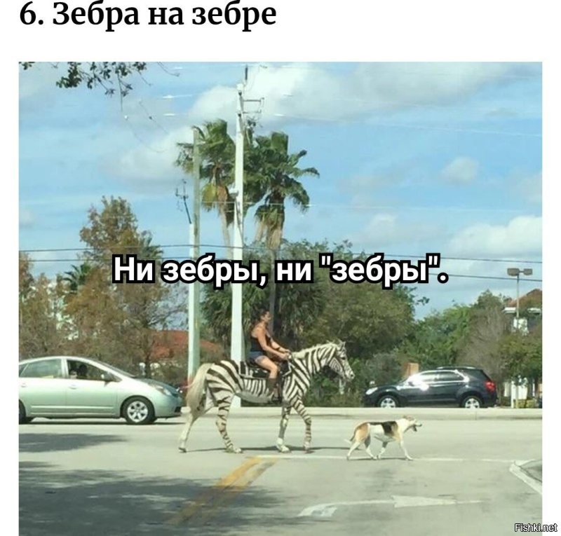 25 реальных жизненных моментов, которые невозможно выдумать
