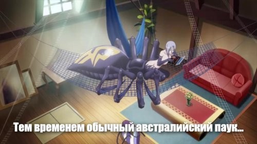 Пятница - она и в Австралии пятница 