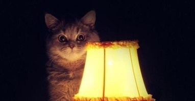 Девушка рассказала, как выглядят здоровые отношения