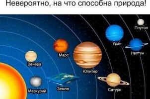 Битва титанов: NASA опубликовало видеопруфы круглой Земли, но Юрий Лоза им не поверил