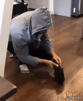 Просто гифки, всякие и&nbsp;разные