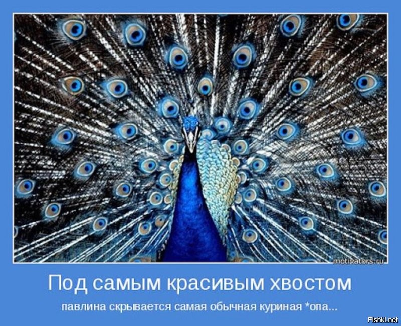 Солянка от 12.04.2026
