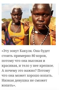 Экзотика.
