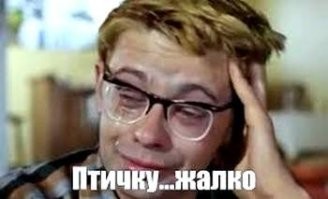 Неожиданная дерзость: петух вступил в бой с хищником