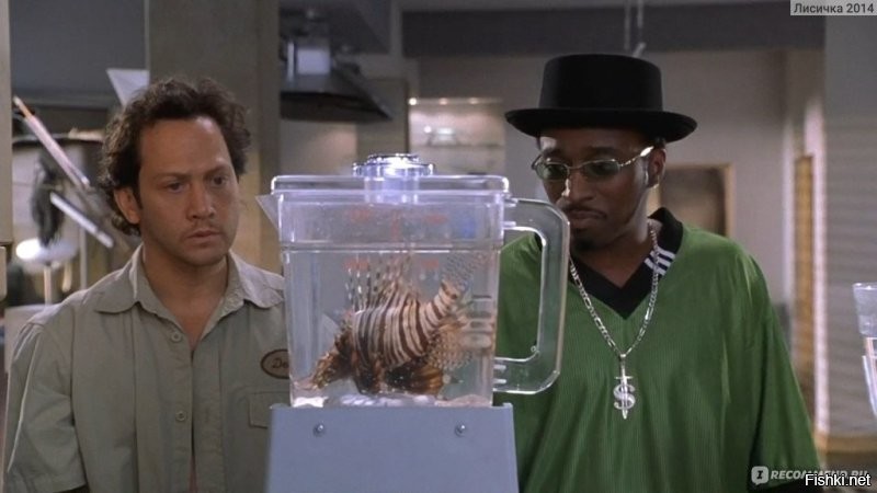 Ещё коктейль из рыбки можно попробовать.