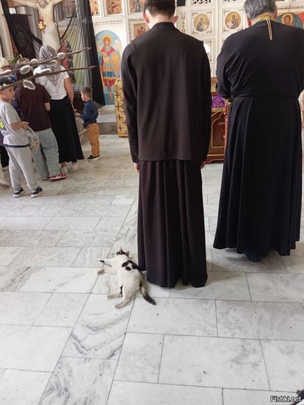 Батюшка освятил кота